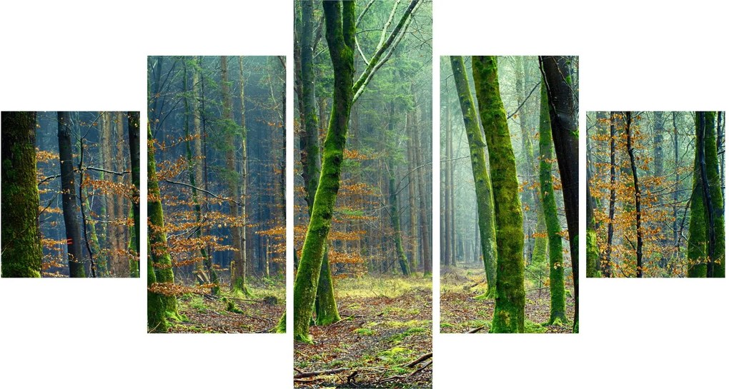 Obraz lasu (125x70 cm)