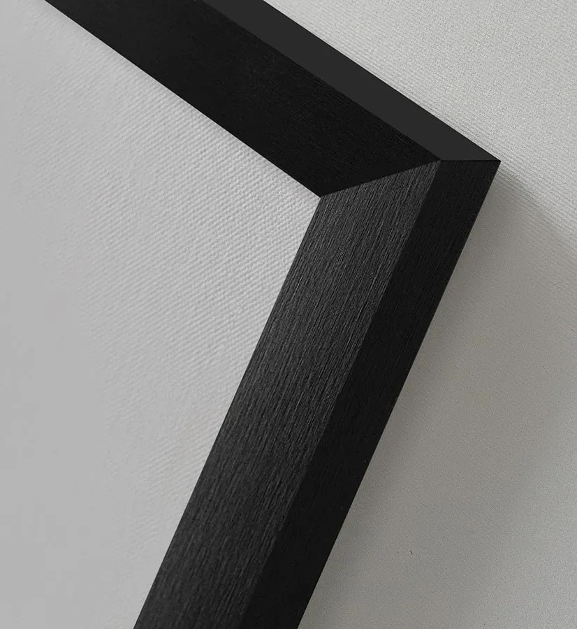 Obraz na płótnie Żuraw w Chmurach Premium