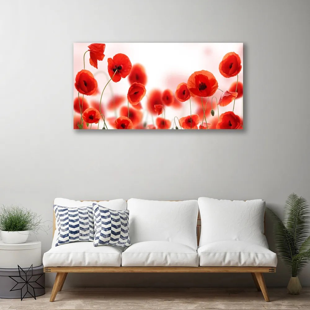 Obraz canvas na ścianę Czerwone Maki w Polu