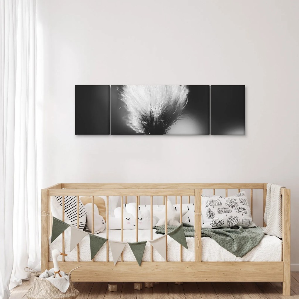 Obraz - Czarno-biała trawa bawełniana (170x50 cm)