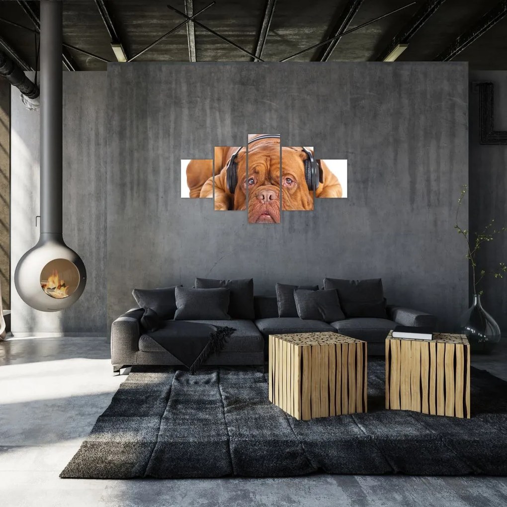 Obraz psa ze słuchawkami (125x70 cm)