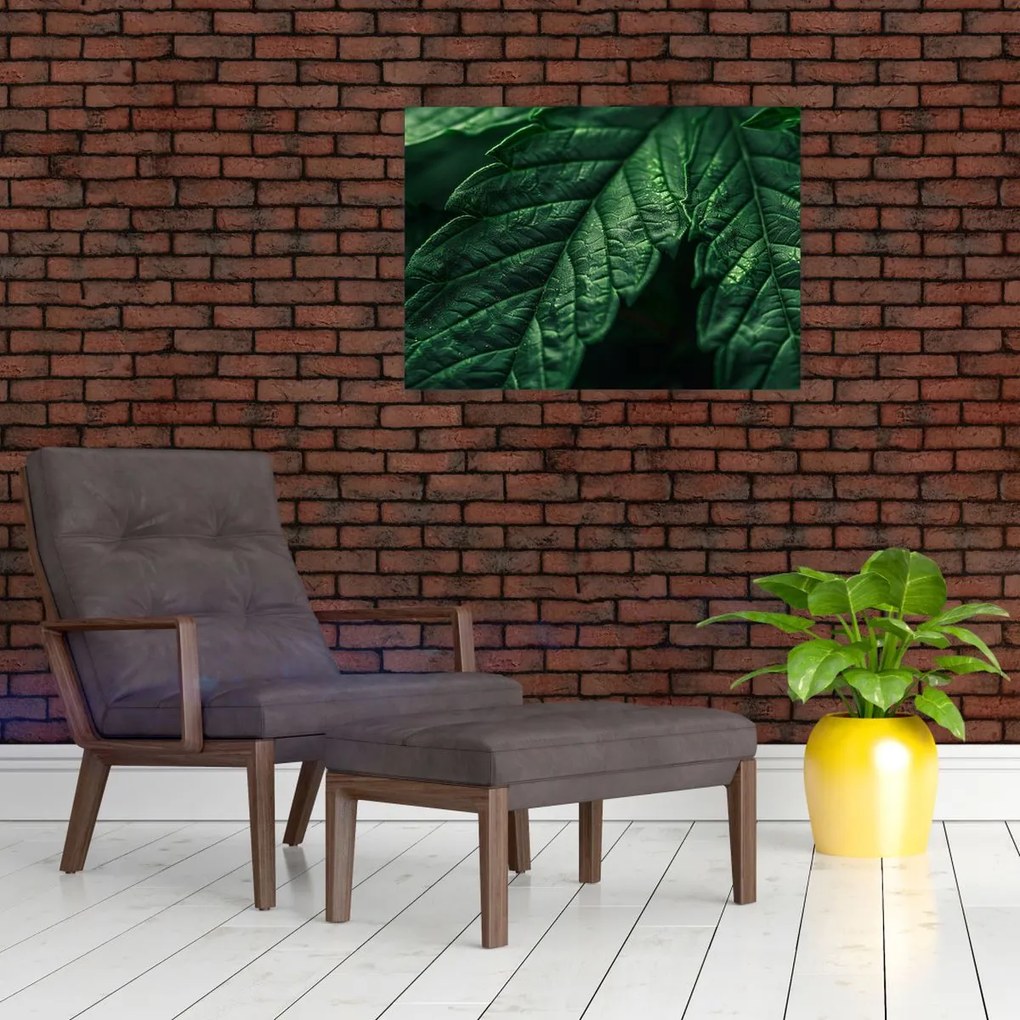 Obraz na szkle - Szczegół arkusza (70x50 cm)