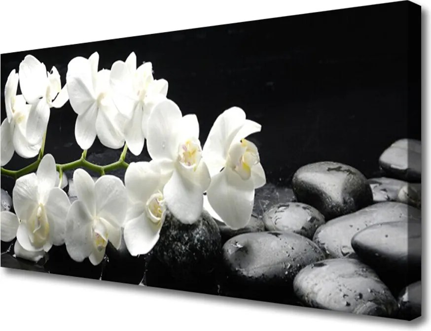 Obraz na płótnie Kwiat Lotosu i Kamienie Spa