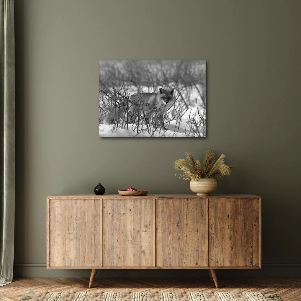 Obraz - Lis w zimie (70x50 cm)