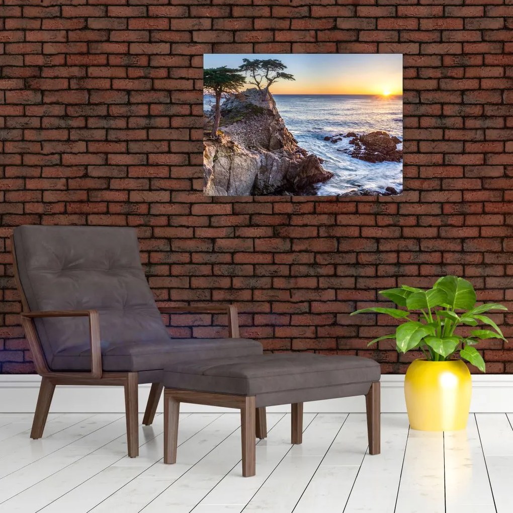 Obraz - Wybrzeże Pacyfiku (70x50 cm)