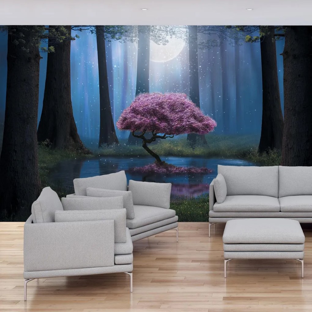 Fototapeta - Magiczna noc (196x136 cm)