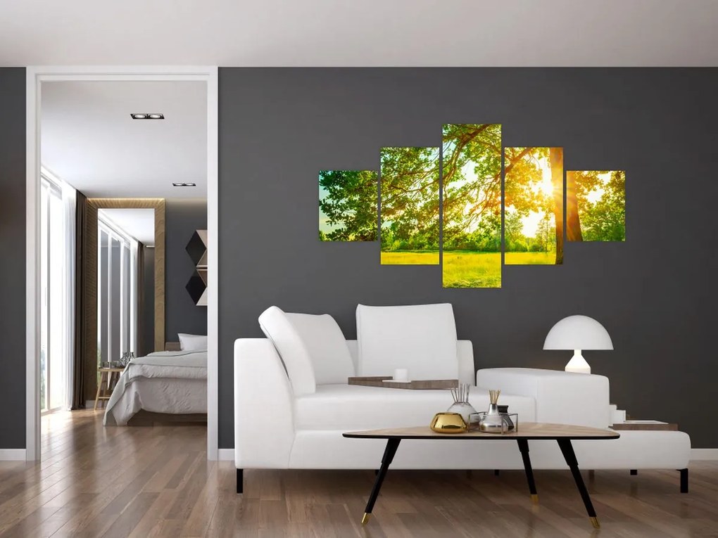 Obraz - Słoneczny Las (125x70 cm)