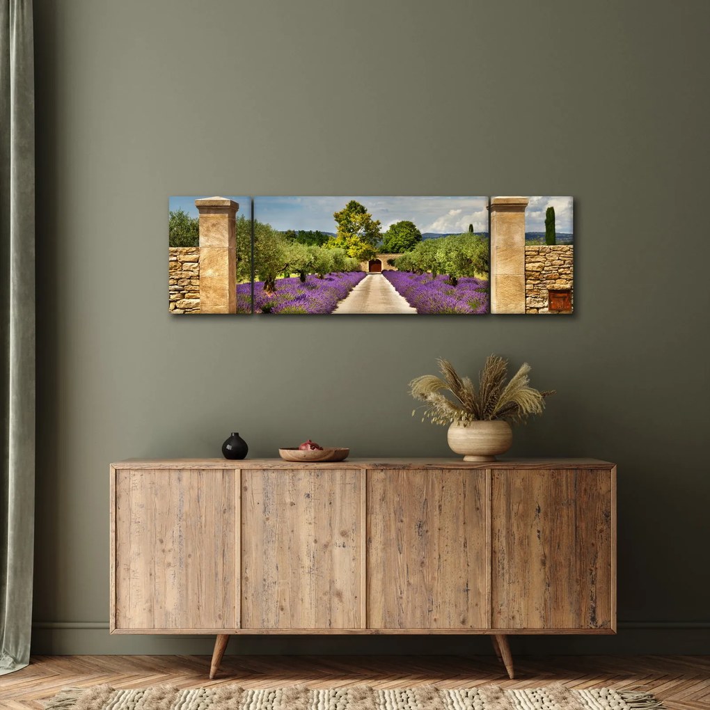 Obraz - Lawendowe ścieżki (170x50 cm)