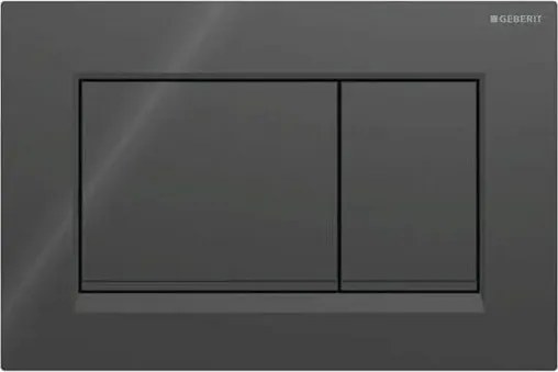 Geberit 115.883.DW.1 - Przycisk spłukujący Sigma30 24,6x16,4 cm czarny