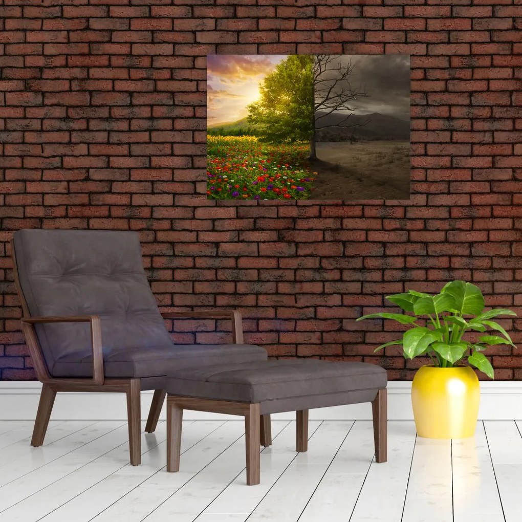 Obraz na szkle - Cykl życia (70x50 cm)