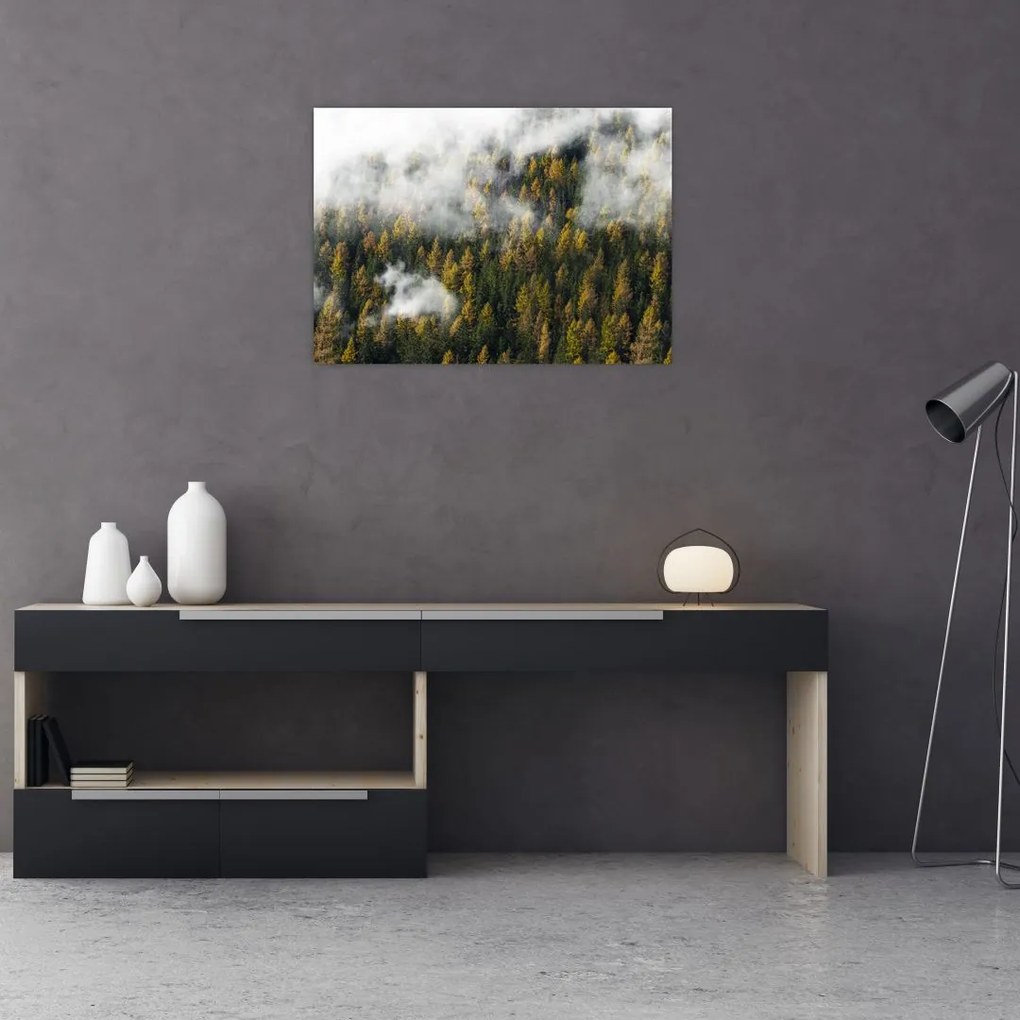 Obraz na szkle lasu w chmurach (70x50 cm)