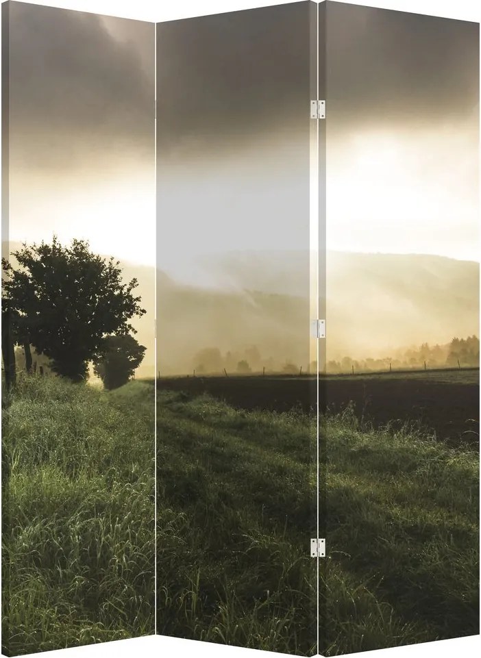 Parawan - Łąka (126x170 cm)