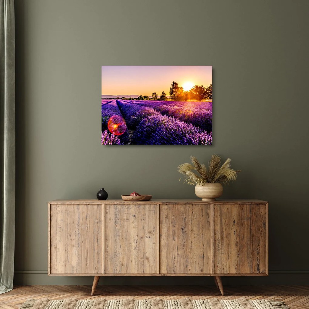 Obraz na szkle - lawendowe pole (70x50 cm)