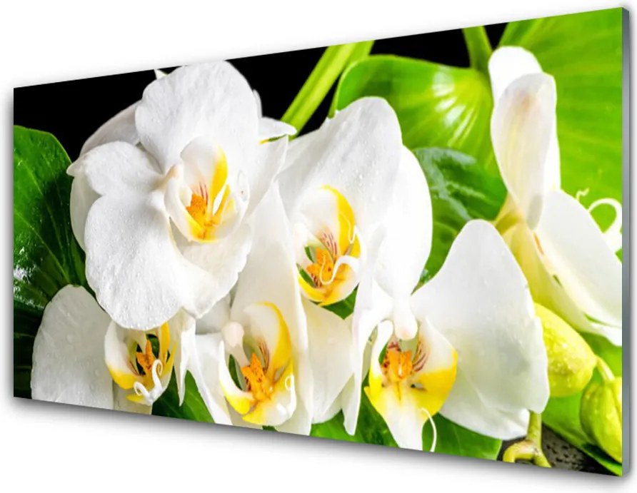 Panel Szklany Królewska Orchidea w Rozkwicie