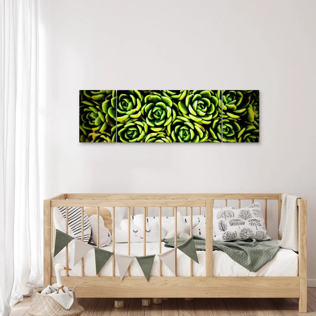 Obraz bez grzywki (170x50 cm)