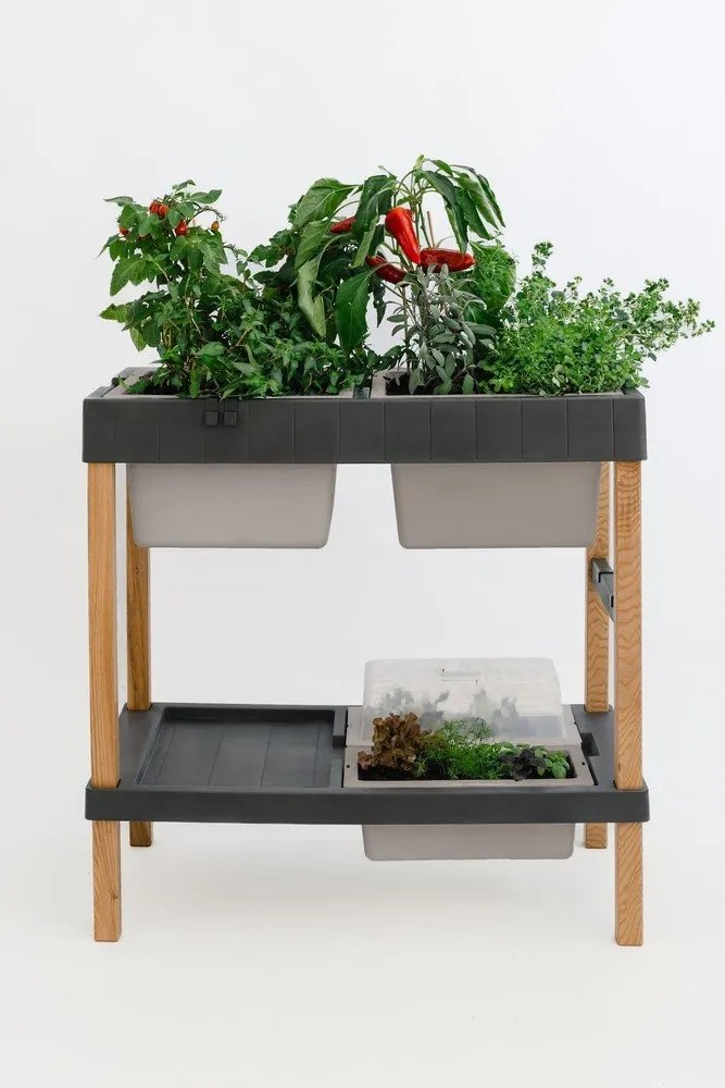 Podwyższona grządka – Plastia