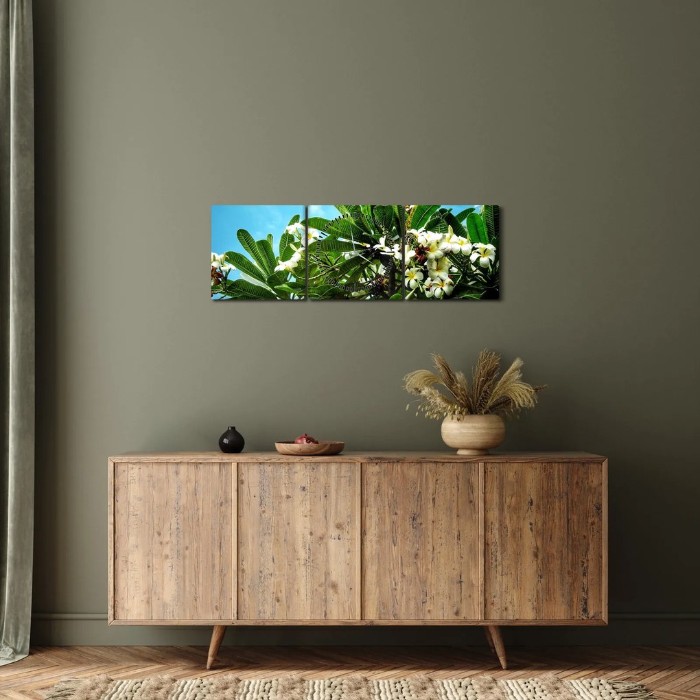 Obraz - Plumeria (z zegarem) (90x30 cm)