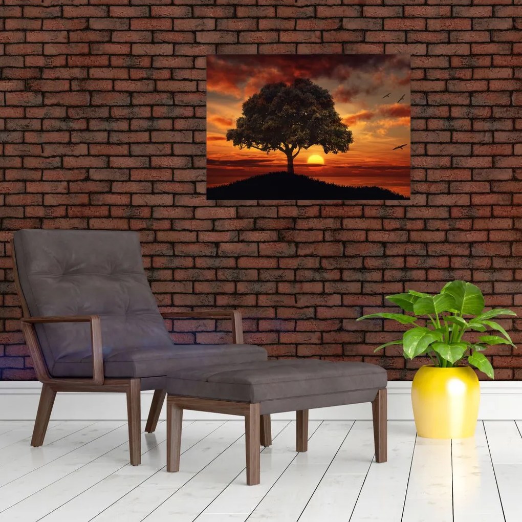 Obraz drzewa o zachodzie słońca (70x50 cm)