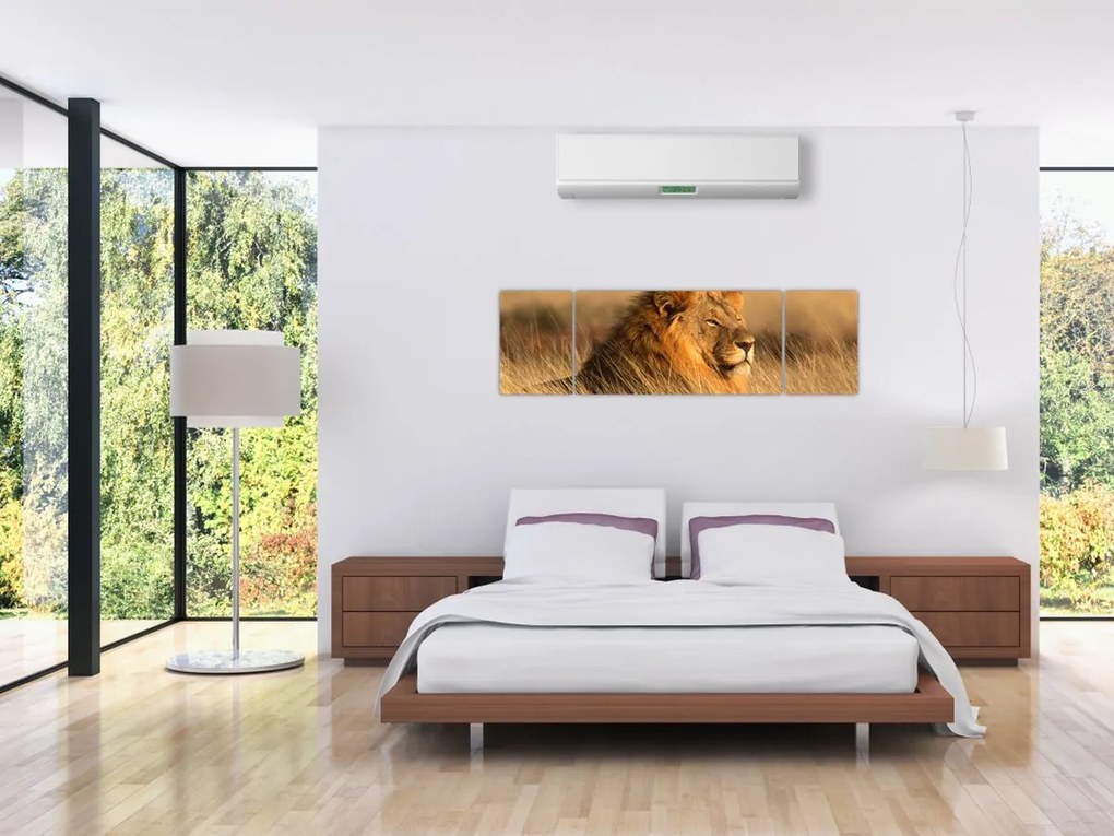 Obraz - Park Narodowy Etosha (170x50 cm)