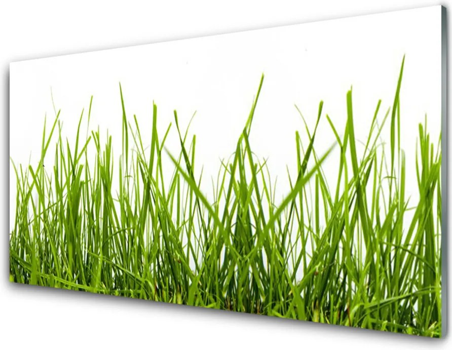 Panel Szklany Soczysta Zielona Polana