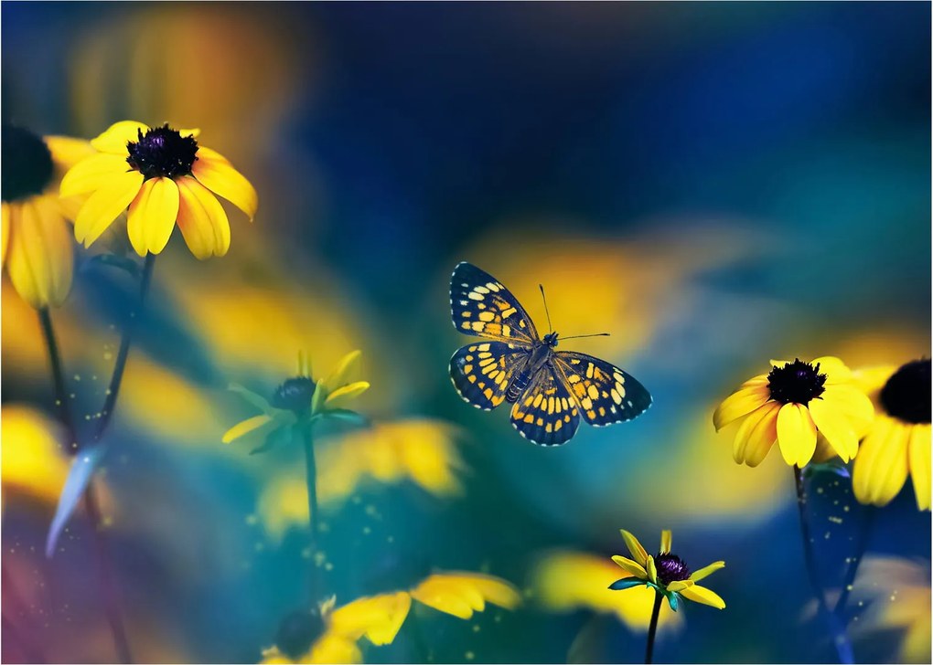 Obraz - Żółty motyl z kwiatami (70x50 cm)