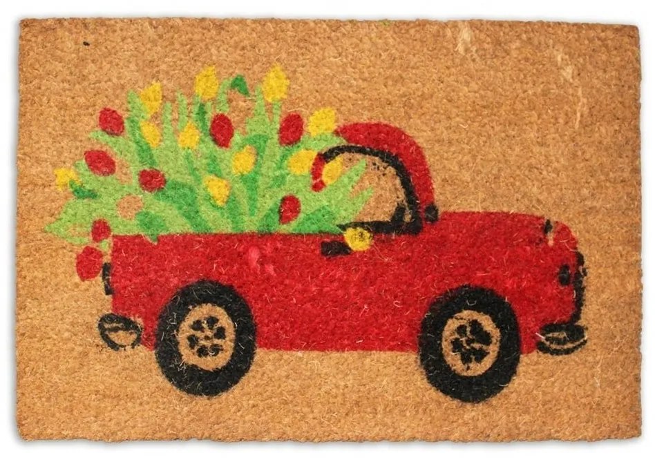 Wycieraczka kokosowa Auto, 40 x 60 cm