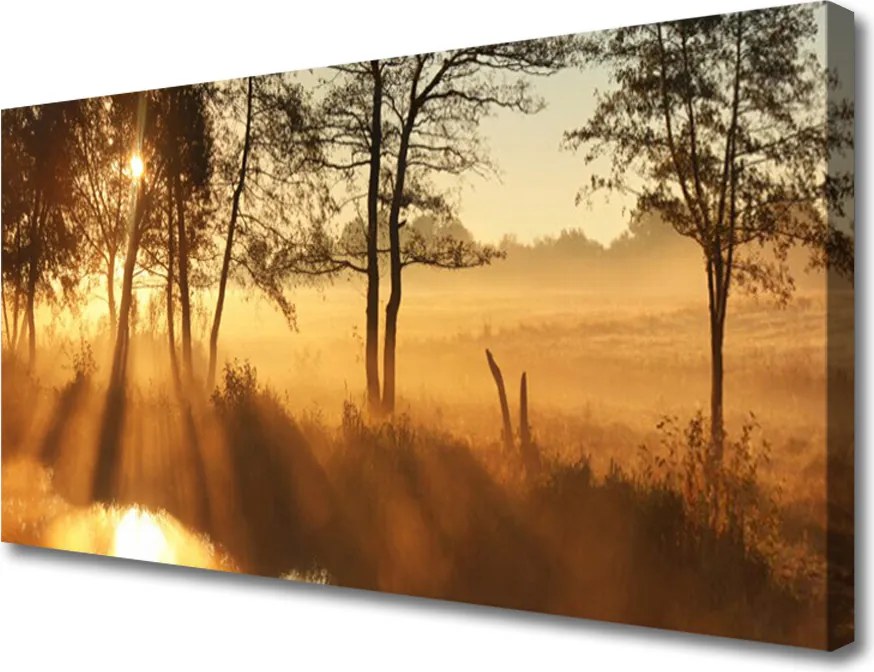 Obraz na płótnie Leśna Gęstwina Drzew