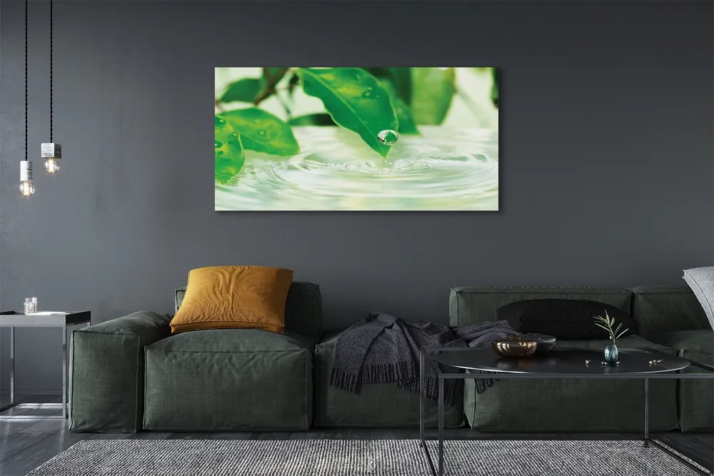 Zdjęcie na płótnie Krople Deszczu na Liściach