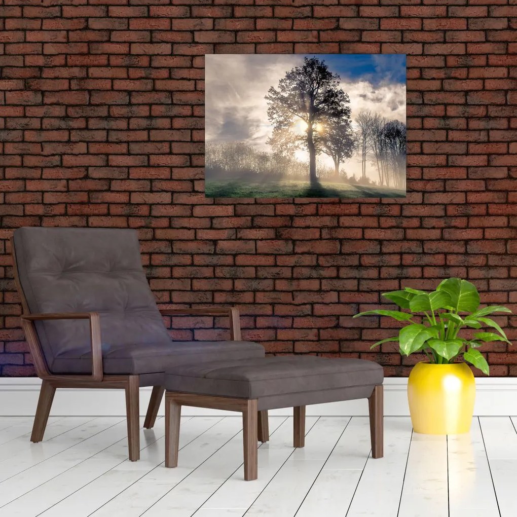 Obraz drzewa we mgle (70x50 cm)