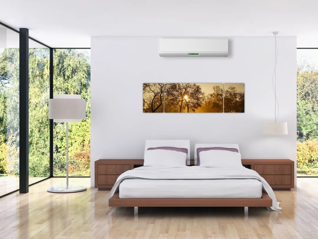 Obraz - Wschód słońca (170x50 cm)