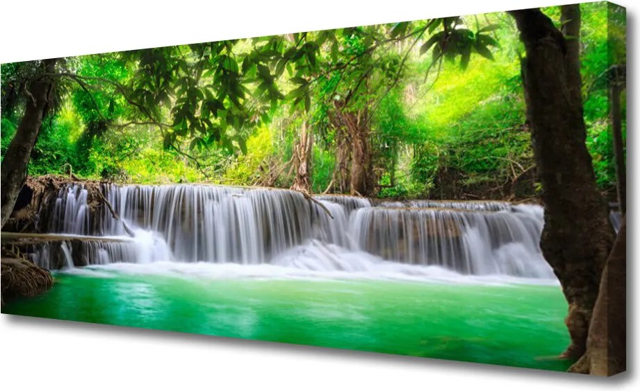 Obraz canvas Ukryty Wodospad w Gęstwinie