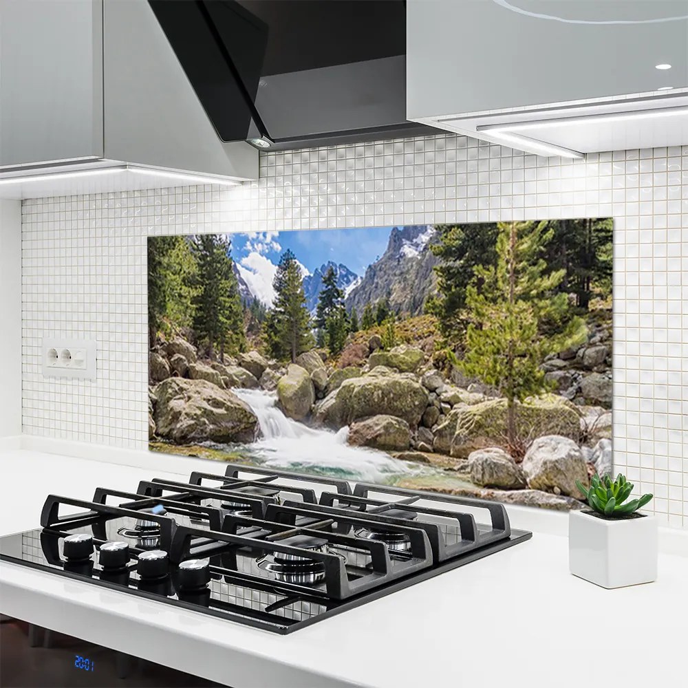 Panel Szklany Dziki Potok w Górskim Lesie