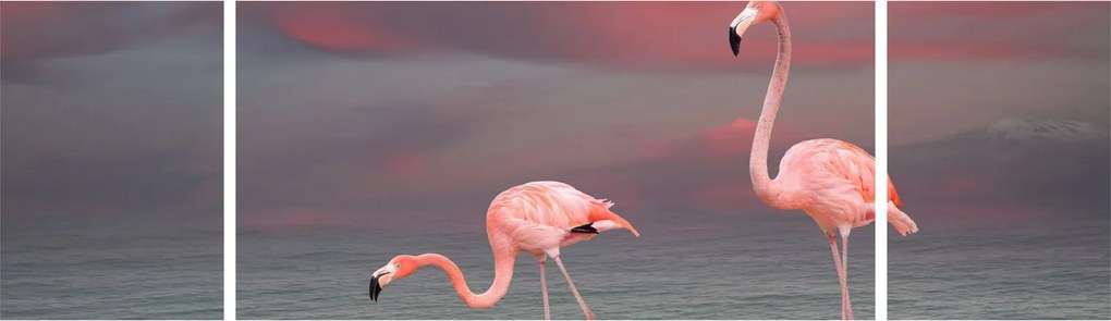 Obraz flamingów (170x50 cm)
