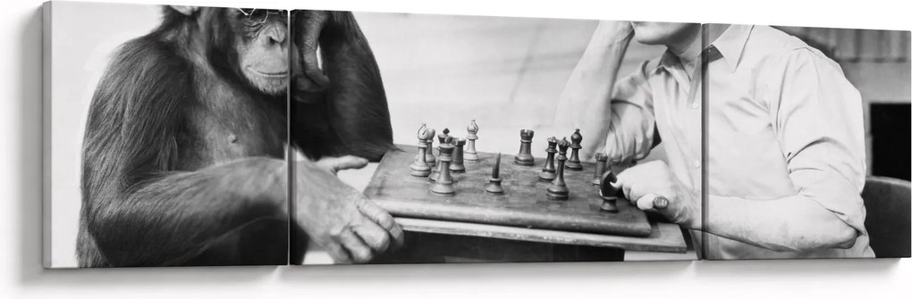Obraz - Cyrk 2 (170x50 cm)