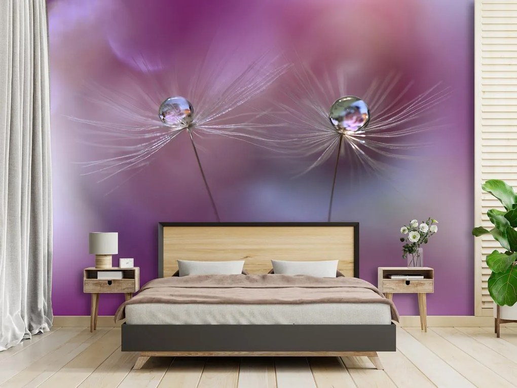 Fototapeta - Krople wody (196x136 cm)