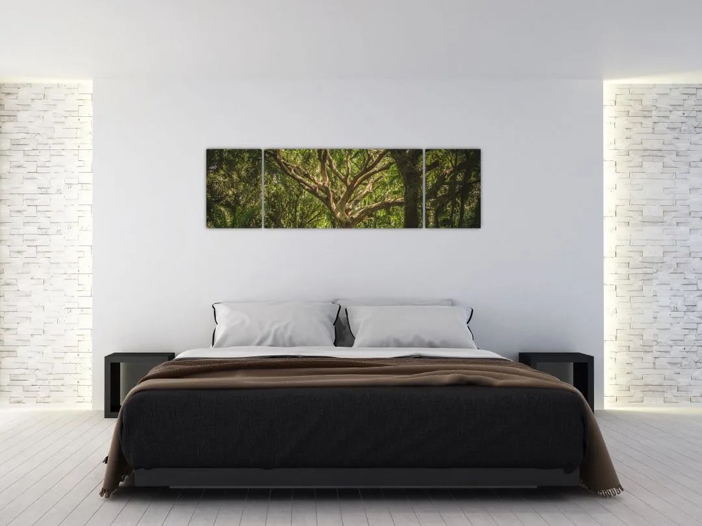 Obraz drzewa (170x50 cm)