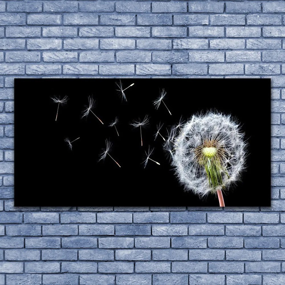 Obraz canvas Polny Urok Dmuchawców