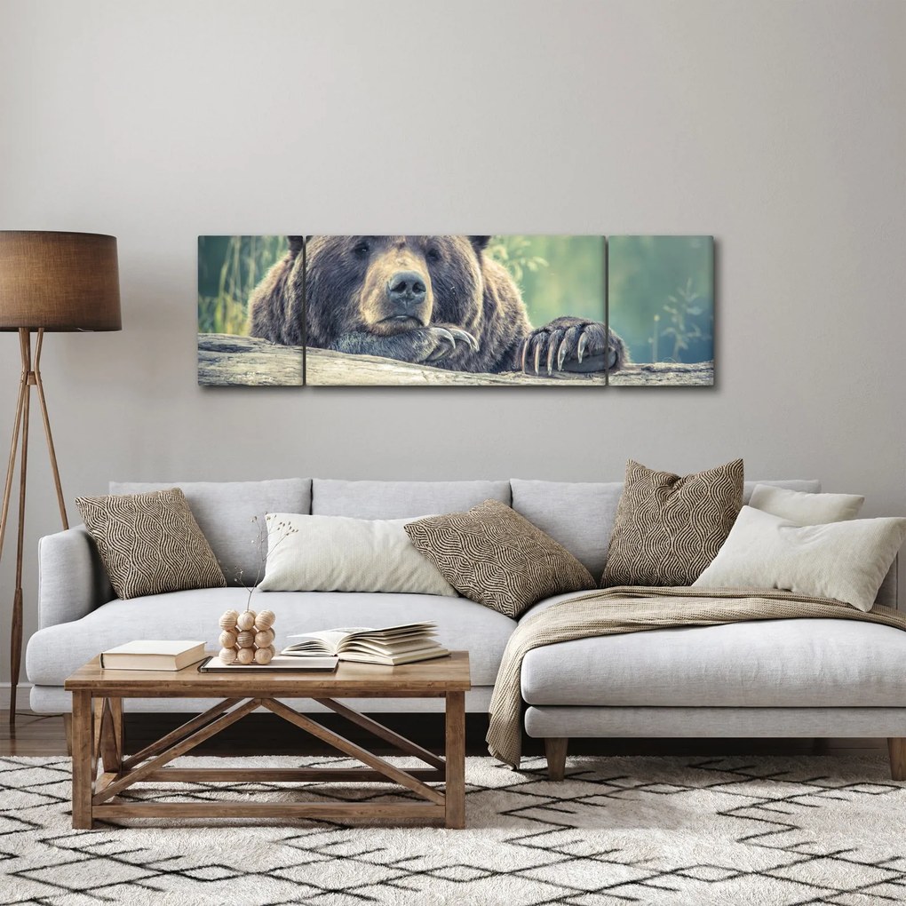 Obraz niedźwiedzia (170x50 cm)