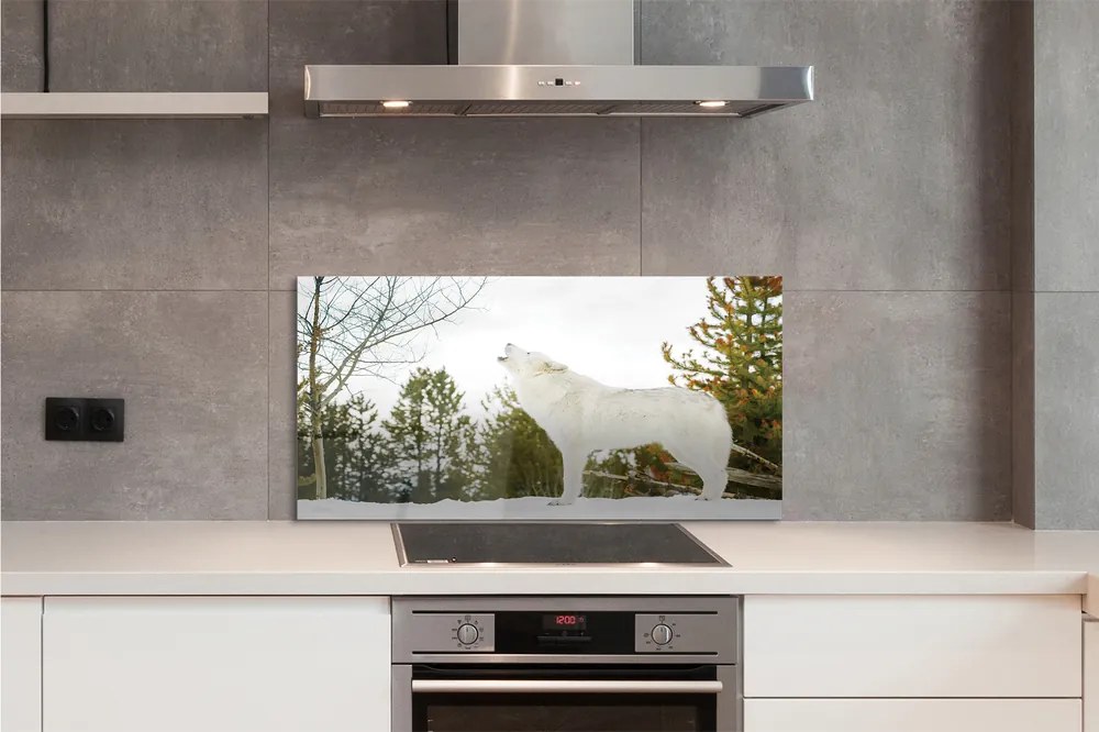 Panel nad Blat Kuchenny Wilk w Śnieżnej Puszczy