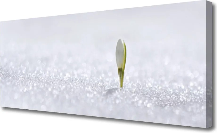 Zdjęcie na płótnie Kaskada nad Błękitną Zatoką