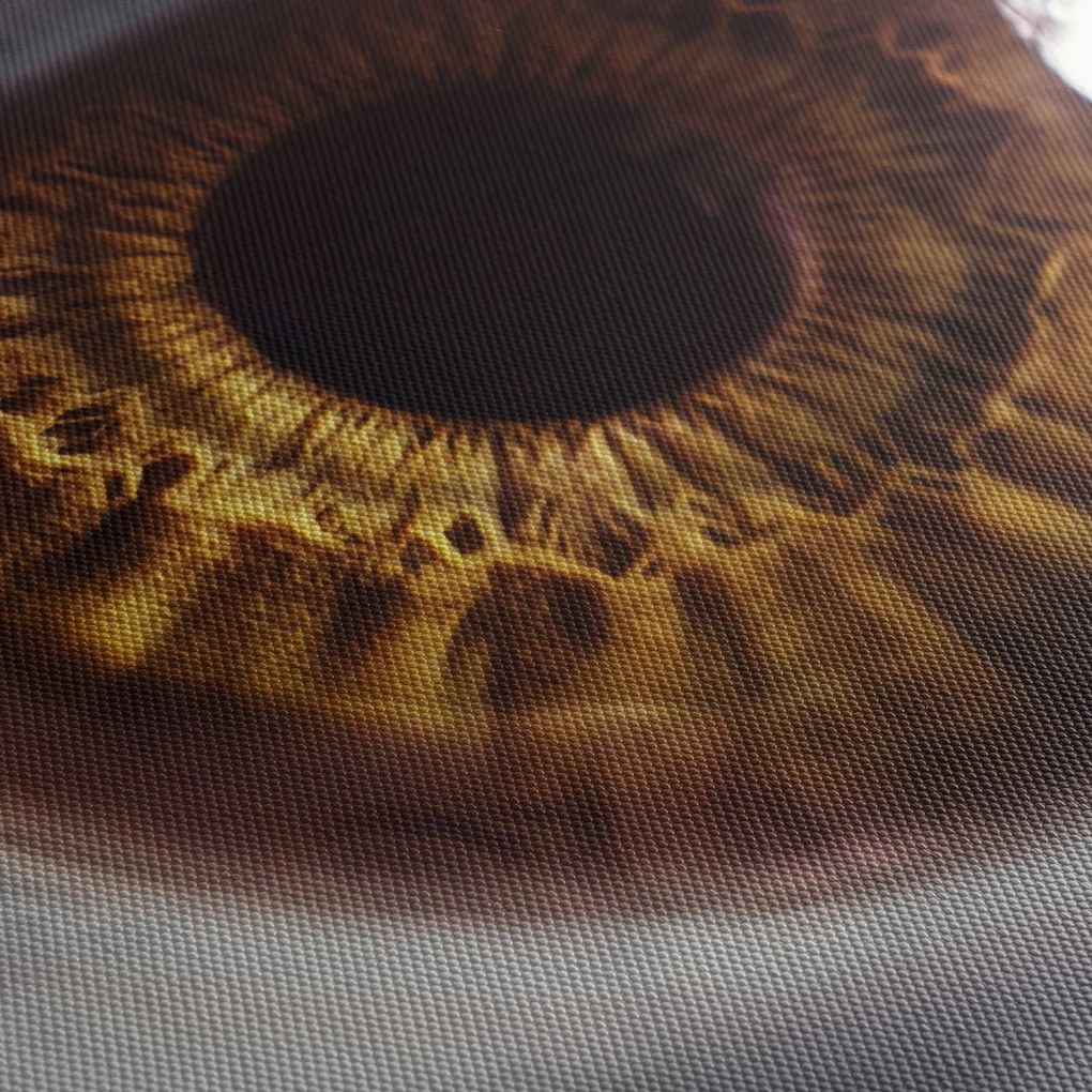 Obraz - Oko (170x50 cm)
