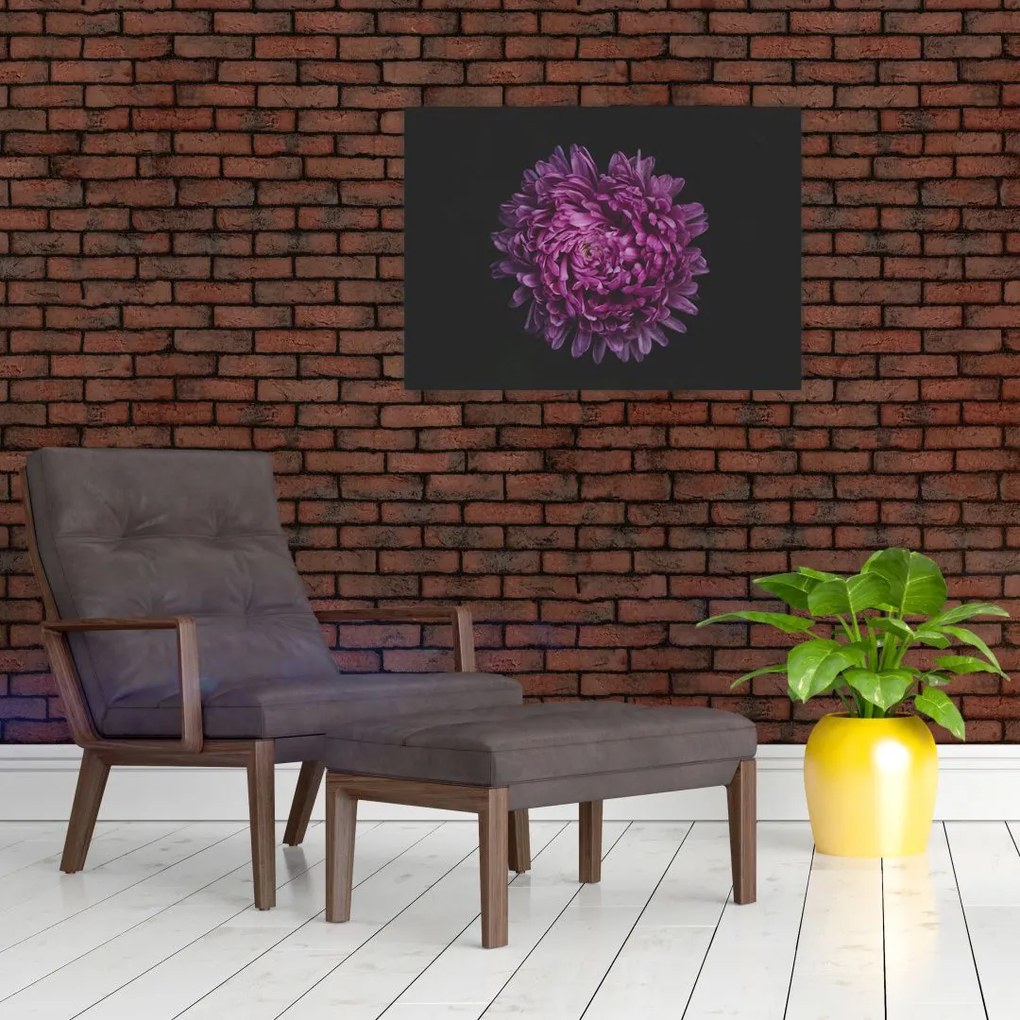Obraz fioletowego kwiatu (70x50 cm)