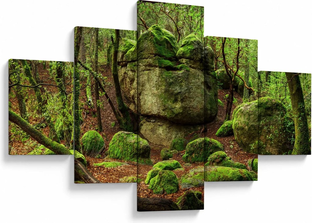 Obraz magicznego lasu (125x70 cm)