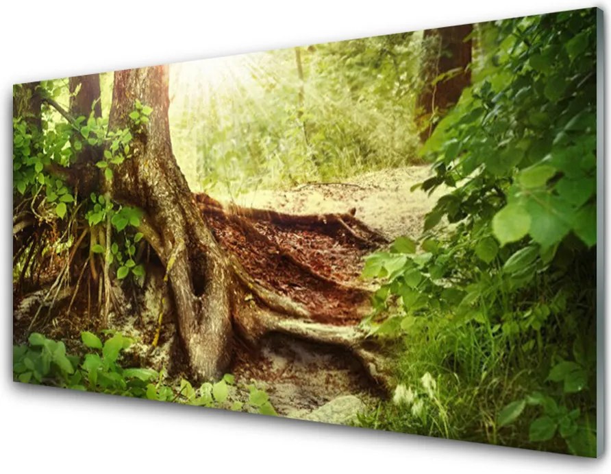 Panel Szklany Tekstura Pnia Drzewa w Lesie
