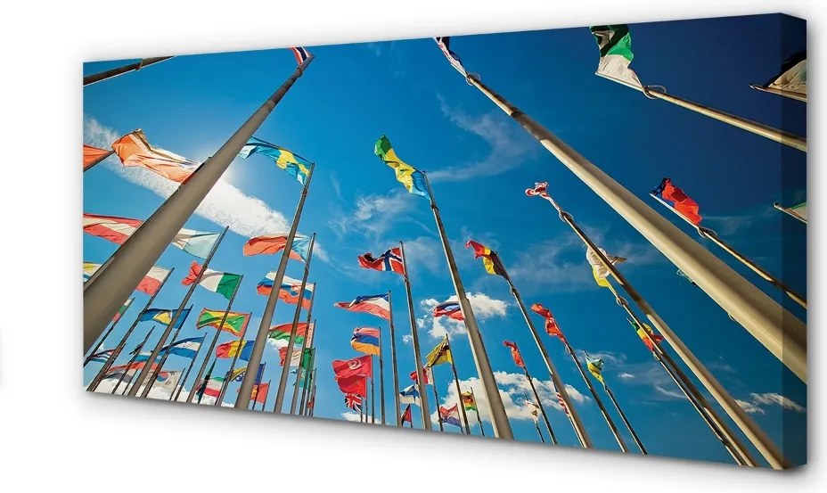 Obraz drukowany na płótnie Różnorodne Flagi