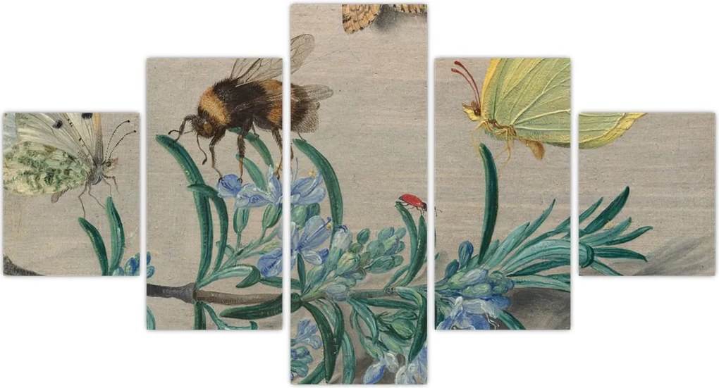 Obraz - Jan van Kessel the Elder, Insects and a Sprig of Rosemary, reprodukcje (125x70 cm)