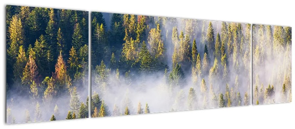 Obraz drzew we mgle (170x50 cm)