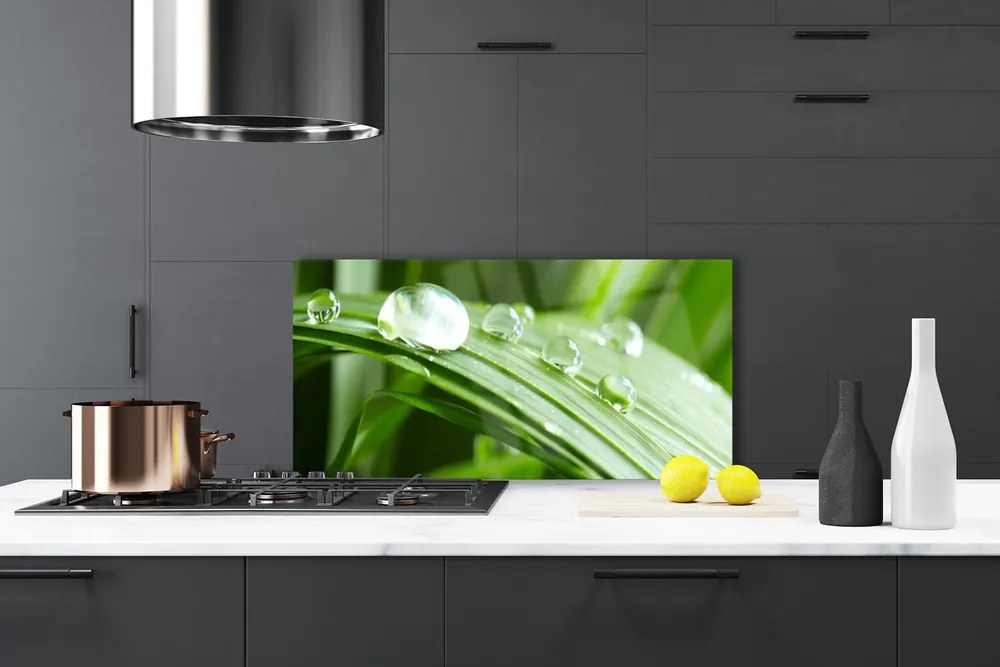 Szkło do Kuchni na Ścianę Kropla Rosy W Makrofotografii