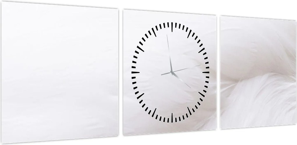 Obraz - Białe pióro (z zegarem) (90x30 cm)