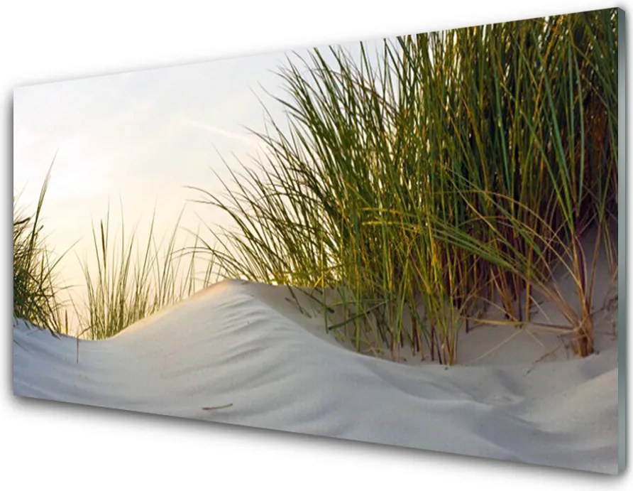 Panel Szklany Wydmy Piaszczyste I Trawy